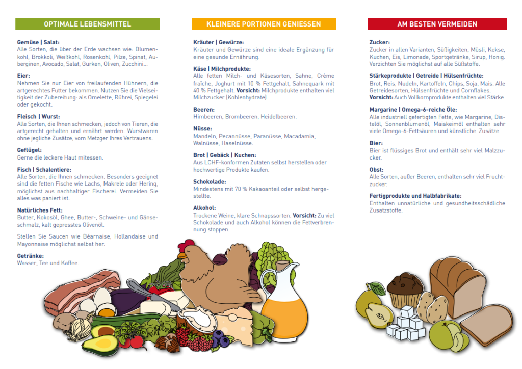 Flyer von der LCHF Akademie mit Lebensmitteln, aufgegliedert in Ampelfarben
