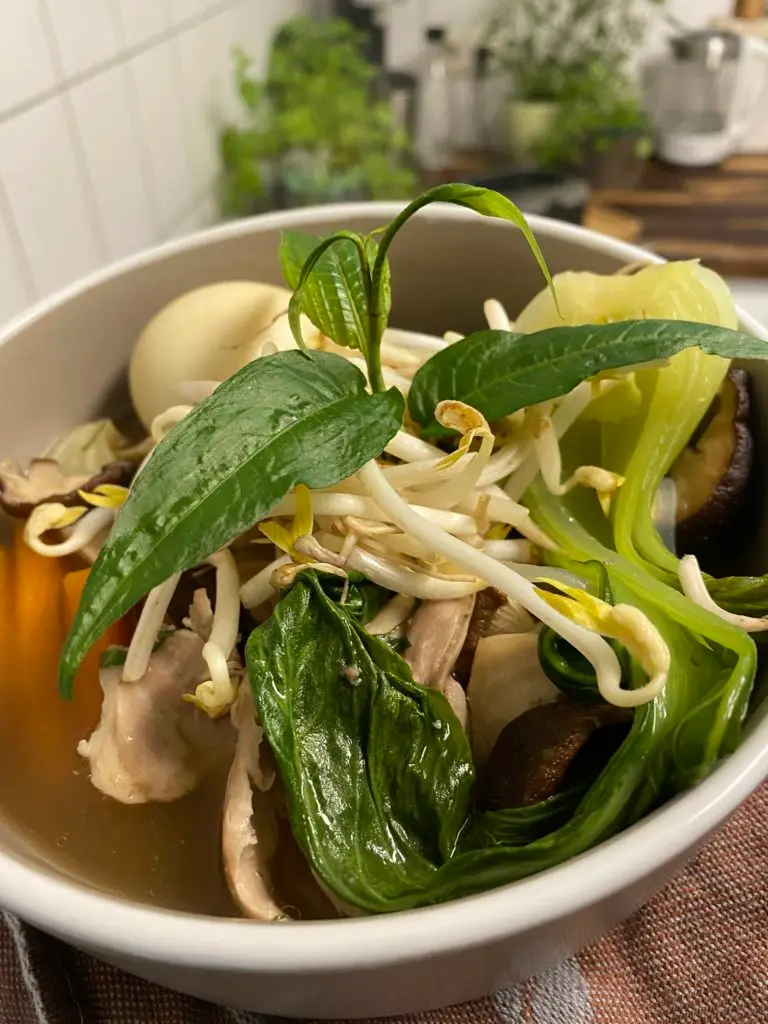 Shileo Ramen Suppe mit frischem Gemüse